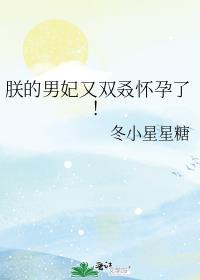 朕的男宠的英文怎么说