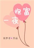 一夜抱富完结加番外