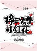 将军爱集小红花免费阅读全文
