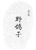野鸽子流泪的阿难陀