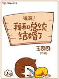 我和总统结婚了免费阅读