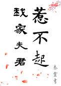 我家夫君惹不起txt