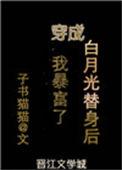 穿成白月光替身后我暴富了番外