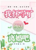 所以离婚吧 作者屋里小仙女
