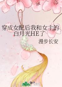 马甲cp文