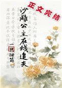 沙雕公主在线追夫阅读