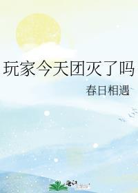 玩家今天团灭了吗免费阅读_