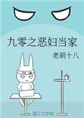 九零之恶妇当家作者老胡十八