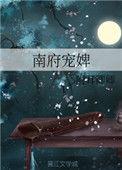 南府王妃