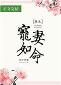 宠妻如命免费阅读无弹窗