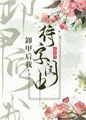 卸甲后我待字闺中TXT