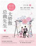 总裁先生太傲娇穿书