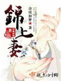 锦上妻类别穿越作者 诗雨如梦