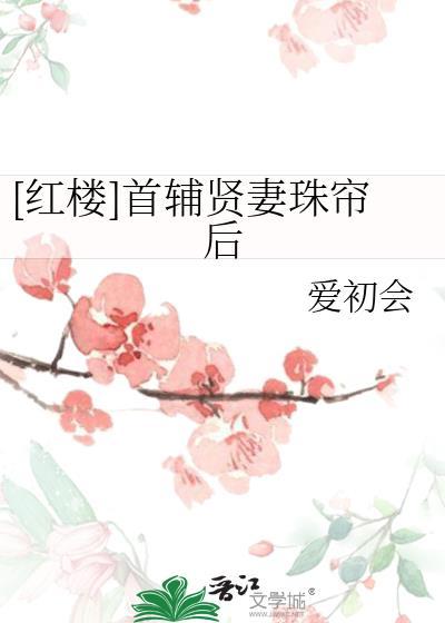 红楼首辅贤妻珠帘后免费阅读