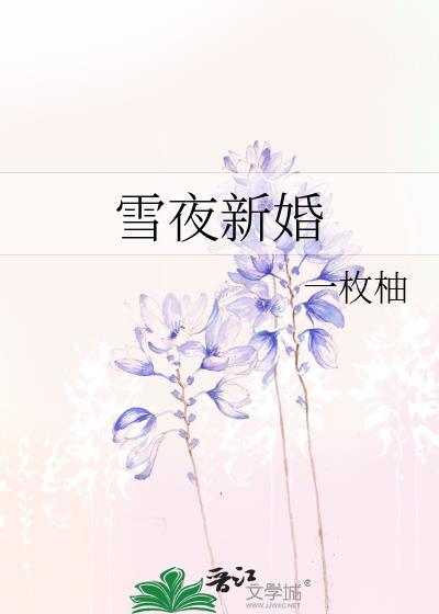 雪夜新婚txt资源免费