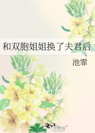 姐夫和双胞胎姐妹的日常生活