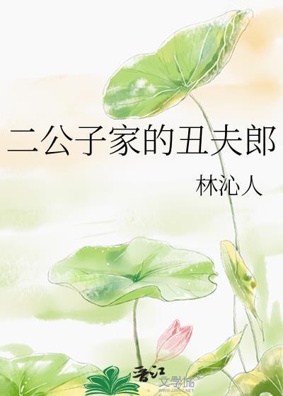 二公子家的丑夫郎林沁人