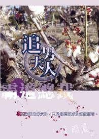 霸道总裁追妻忙