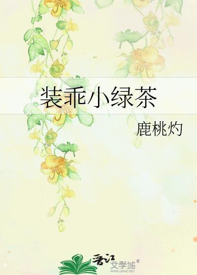 装乖全文免费阅读txt