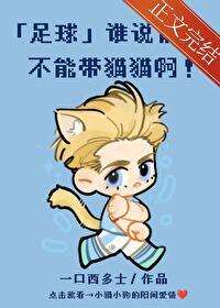 前锋什么最好