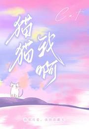 歌曲猫猫猫猫猫