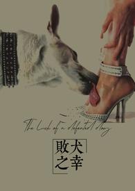 败犬百度百科