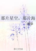 那片星空是什么意思