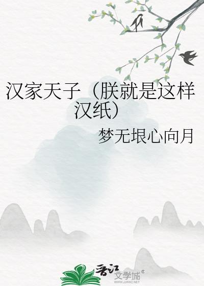 汉家天子使是什么意思