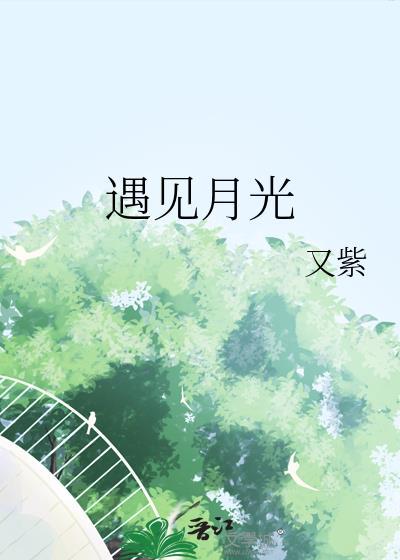 遇见光全文免费阅读