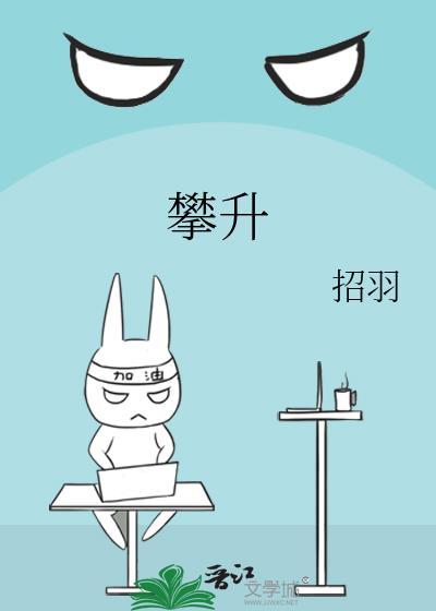 攀升maxbookp2pro参数