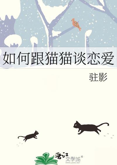 怎样和猫咪建立感情