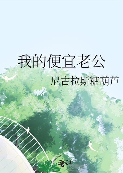 我的便宜丈夫重生儿子