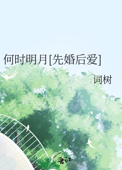 何时明月夜什么意思