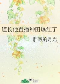 道长他盛世美颜[娱乐圈