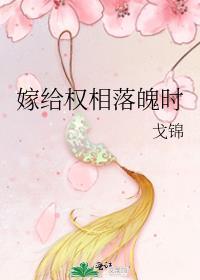 嫁给首辅落魄时晋江