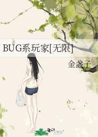 bug是啥游戏