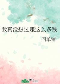 我真没想赚钱啊