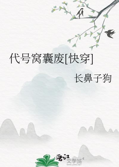 代号.t