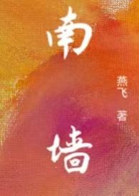南墙txt