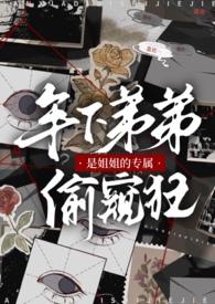 姐姐是弟控推荐