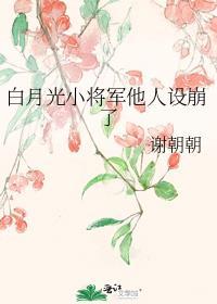 白月光小将军他人设崩了别名