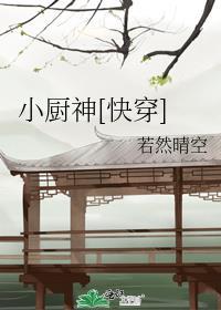 小厨神by
