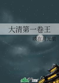 大清第一卷王笔趣阁