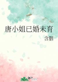 唐小姐已婚未育txt盘