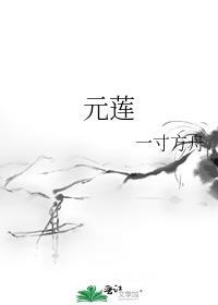 元莲青藕酒