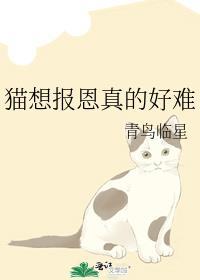 娱乐圈失控笔趣阁