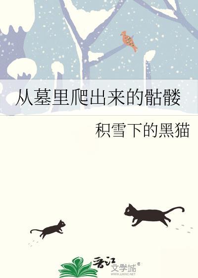 堆满骷髅的国外墓室