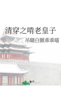 清穿之啃老皇子现代扁