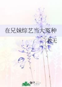 兄妹的综艺节目
