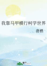 蔷薇td
